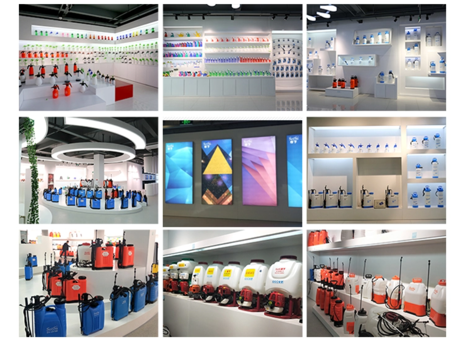 Sala de exibi&ccedil;&atilde;o